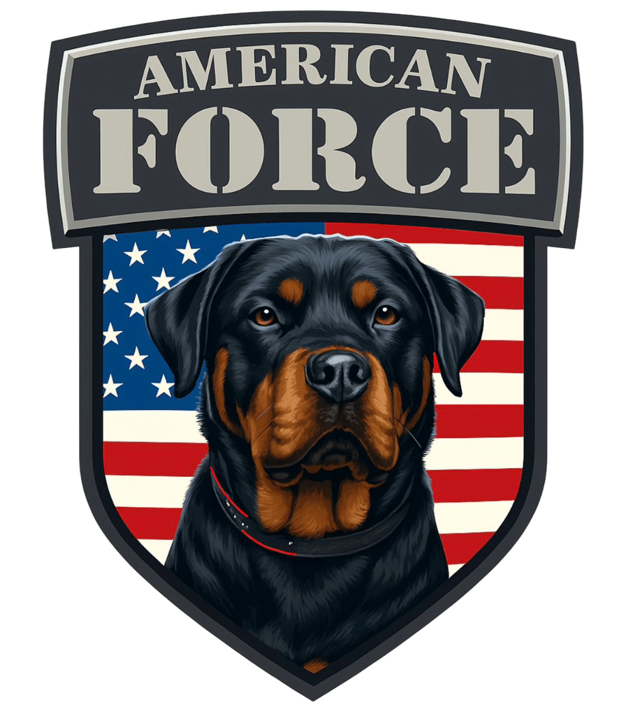 Herramientas y Construcción: Maquinaria y Repuestos